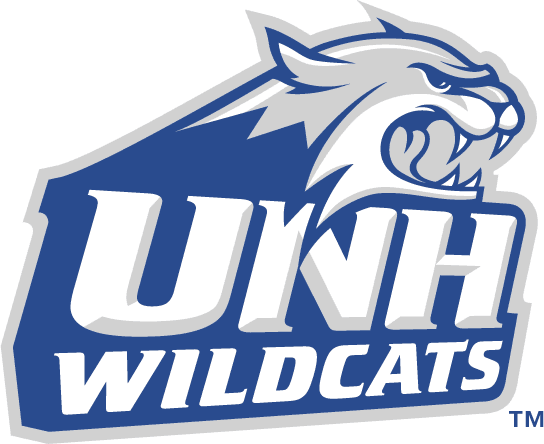 New Hampshire Wildcats 2000-Pres Primary Logo iron on transfers for clothing